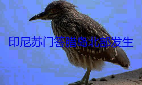 米腊岛北部发地震 震源印尼苏门答生57级深度10千